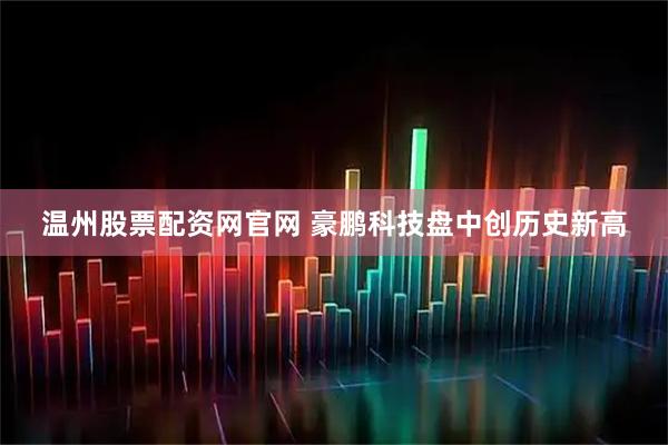 温州股票配资网官网 豪鹏科技盘中创历史新高