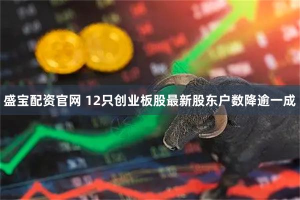 盛宝配资官网 12只创业板股最新股东户数降逾一成