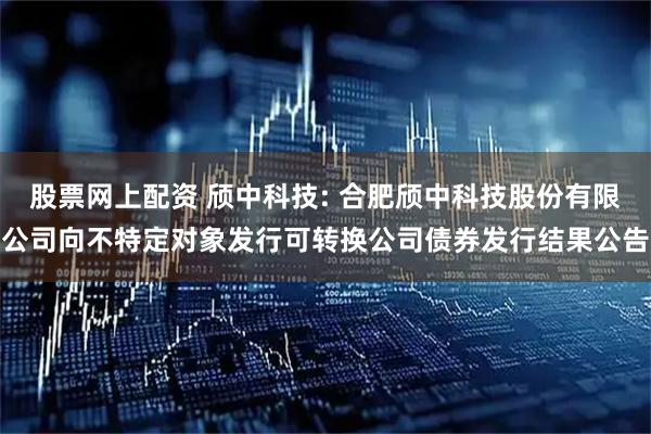 股票网上配资 颀中科技: 合肥颀中科技股份有限公司向不特定对象发行可转换公司债券发行结果公告