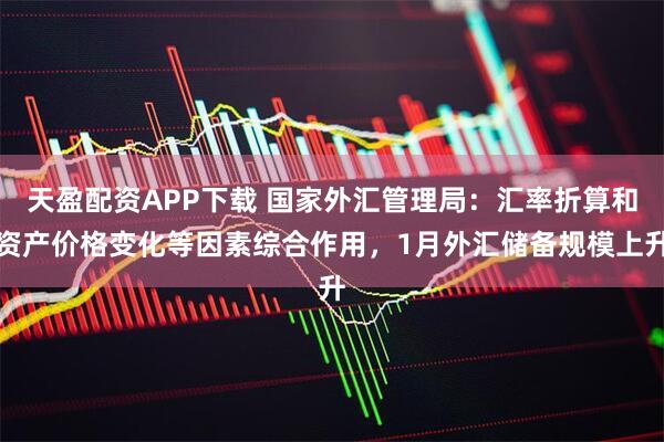 天盈配资APP下载 国家外汇管理局：汇率折算和资产价格变化等因素综合作用，1月外汇储备规模上升